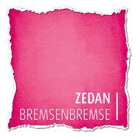 Reingeguckt Reingeschaut Sticker by ZEDAN