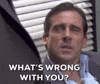 What Is Wrong With You Season 2 GIF by The Office