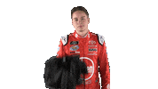 christopher bell race Sticker by NASCAR