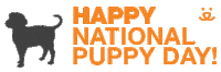 Happy Puppy Love Sticker by Best Friends Animal Society