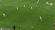 tribunbesiktas besiktas tribunbesiktas GIF