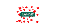 San Valentin Sticker by AINCAT