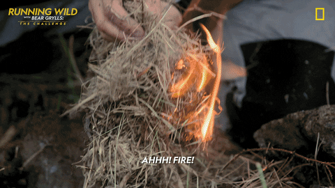 Nat Geo Success GIF by National Geographic Channel