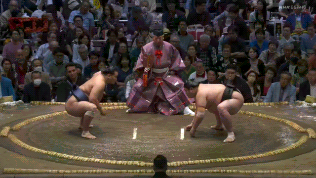 TZ85 giphyupload GIF