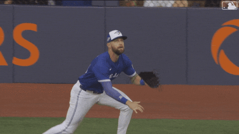 Blue Jays Baseball GIF by Toronto Blue Jays