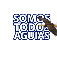 Grupoabs Sticker by ABS GIFS