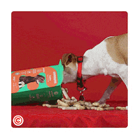 Feiradosanimais GIF by Continente