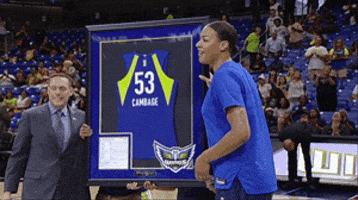 lets go smile GIF by WNBA