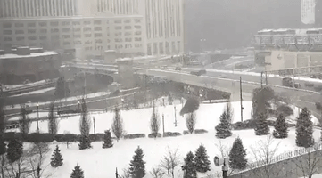 Deep Freeze Hits Chicago With Heavy Snow