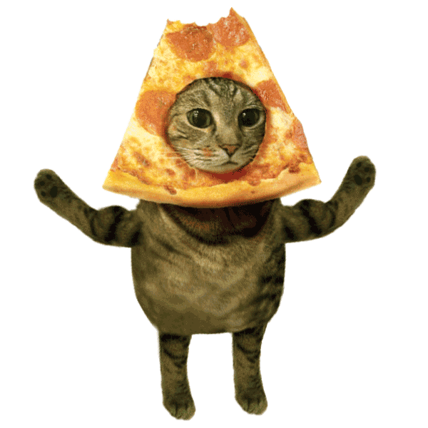 the_pizzacat giphyupload cat pizza cats Sticker