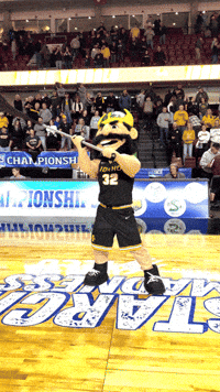 Big Sky Mascot GIF