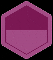 Molchanovs Freediving GIF by Molchanovs