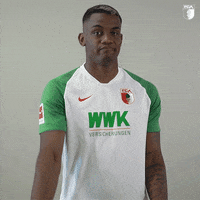 La Pantera Football GIF by FC Augsburg 1907