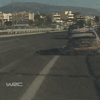 Group B Cars GIF by FIA World Rally Championship