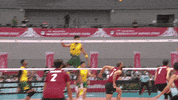 Celebration GIF by Volleyball World