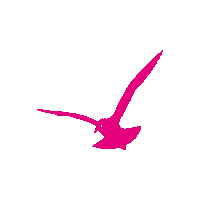 GlaveGruppe logo möwe werbeteam norics Sticker