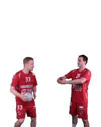 Wilhelmshaven Whv Sticker by whvhandball