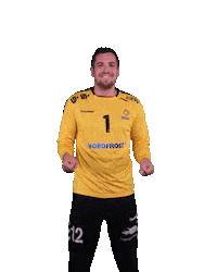 Wilhelmshaven Whv Sticker by whvhandball