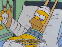 homer simpson GIF