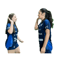 Esm Sticker by Entente Saone Mamirolle handball