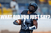 pantherswroclaw panthers wroclaw pantherswroclaw GIF