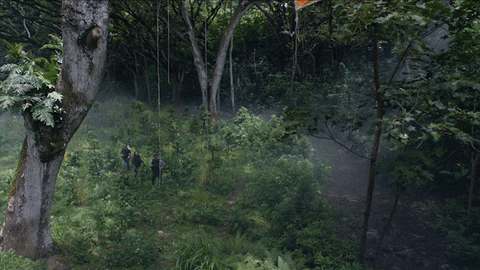 GIF by CBS