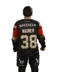 Ice Hockey Sticker by deb_teams