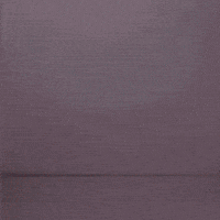 세븐틴 Jeonwonwoo GIF