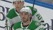 Happy Dallas Stars GIF by NHL