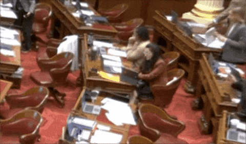 GIFcaucus giphygifmaker GIF