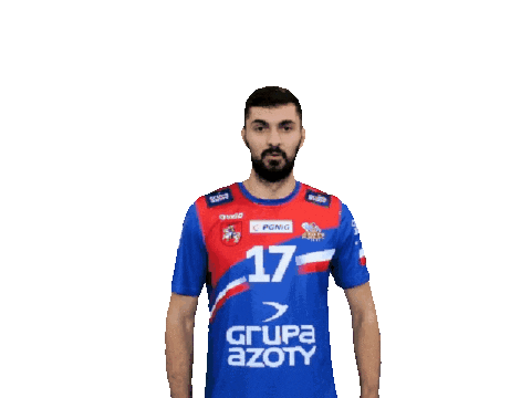 Handball Pgnigsuperliga Sticker by KS Azoty-Puławy S.A.