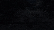 from software sekiro GIF