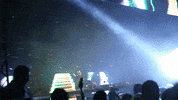 music festival edm GIF by mtv
