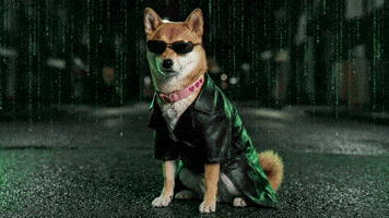 Choose Kindness | DogeGF Matrix