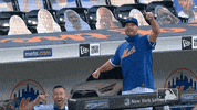 Happy Ny Mets GIF by New York Mets
