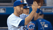 Ny Mets Sport GIF by New York Mets