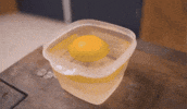 King Aggies GIF