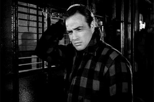 marlon brando youve confused the hot one charlie GIF by Maudit