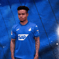 Sport Bundesliga GIF by TSG Hoffenheim