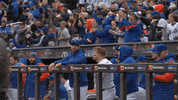 Excited Major League Baseball GIF by New York Mets