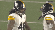 Regular Season Football GIF by NFL
