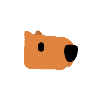 jonatateixeira olhos capivara piscadinha piscar Sticker
