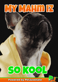Henlo Hooman Fren GIF by PetJuvenate - PJ