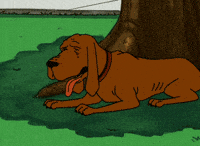 King Of The Hill Dog GIF