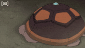 Turtle Tortoise GIF by Adult Swim