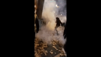 Paris Police Fire Tear Gas During Protest Against Proposed Ban on Police Images in France
