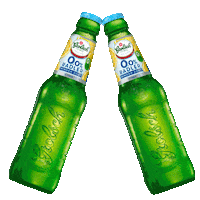 Beer Cheers Sticker by Grolsch