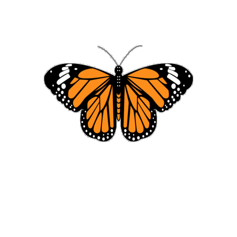 Illustration Butterfly Sticker by Ricardo Martínez