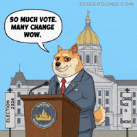 Shiba Inu Wow GIF by Doge Pound