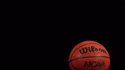 Littlerockmbb2020 GIF by Little Rock Athletics